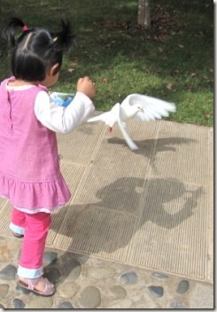 20110913003
