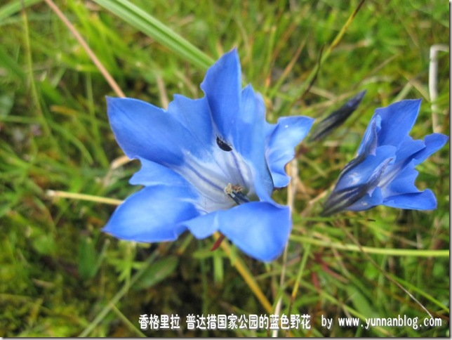 20110927004