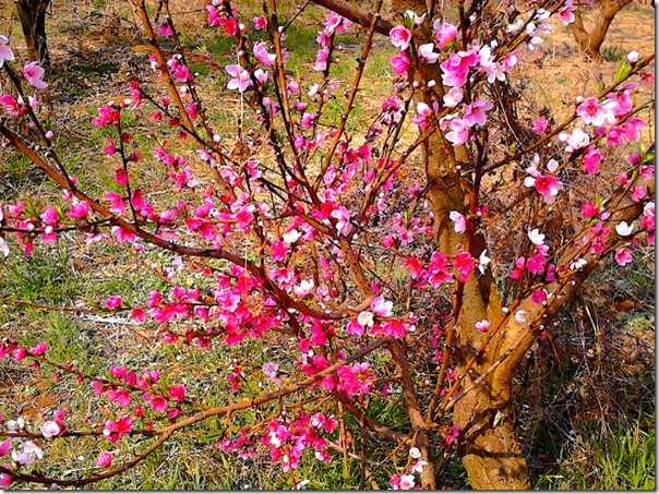 IMG_20140315_104836_mh1394851805434