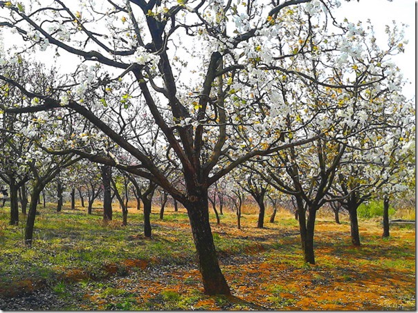 IMG_20140315_105136_mh1394851948709