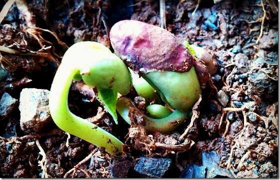 20140428004