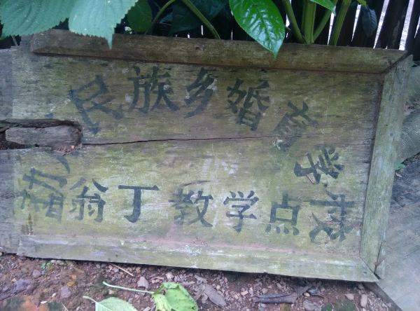 cy28