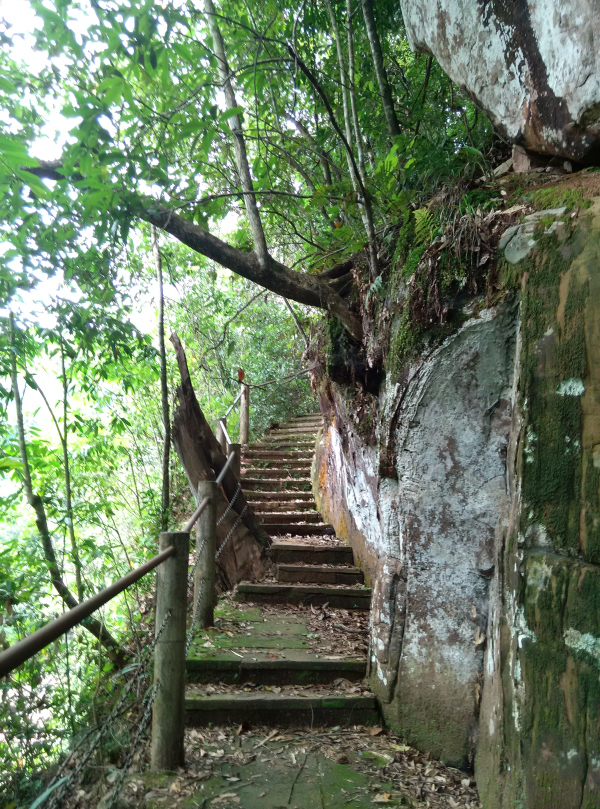 jinggu6